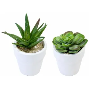 Petite Plante Succulente artificielle assortie en pot pas cher