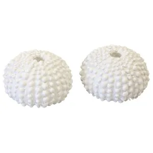2 COQUILLES OURSIN DÉCO RÉSINE 2.5X4CM BLANC Blanc pas cher