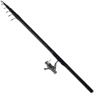 Daiwa Combo Carpfishing Reglable 11 pas cher
