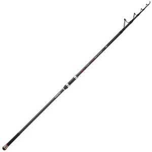 Daiwa Canne De Surfcasting Télescopique Emblem Type R