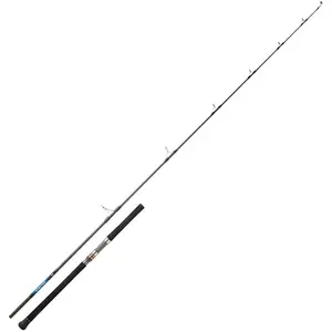 Daiwa Canne Pêche De Fond Saltiga Giant TravelVendu parwaveinn