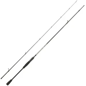 Daiwa Canne Spinning Exceler 2 Sections