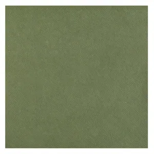 CHALAYER 25 SERVIETTES DE TABLE JETABLE INTISSÉES 65GR 40X40CM - OLIVE Vert, Anis, Menthe, Eau pas cher