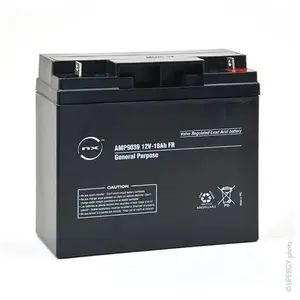Batterie plomb AGM NX 18-12 General Purpose FR 12V 18Ah M6-M pas cher