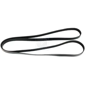 NIPPON PIECES SERVICES Courroie trapézoïdale à nervures pour AUDI: A5,...Vendu paroscaro