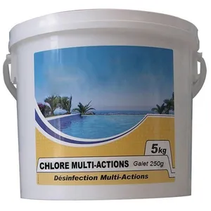 NMP Chlore lent multi-fonctions galet 250g 5kgVendu parcdiscount