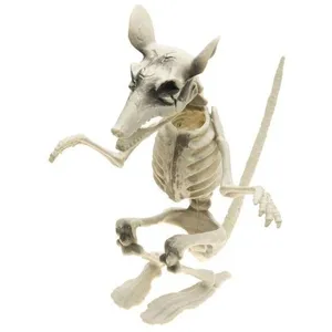 CHAKS RAT SQUELETTE 20X26X29CM pas cher