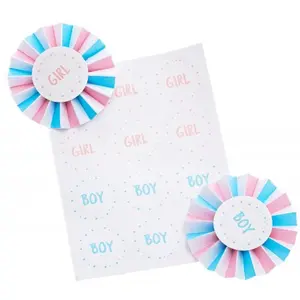 Chaks Baby Gender Reveal 12x stickers en 6x badges - roze/blauw - Team...Vendu parbol