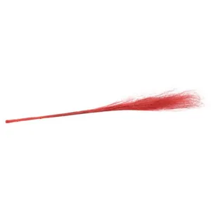 CHAKS 50 MUEHLENBECKIA SÉCHÉES 90CM ROUGE pas cher