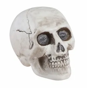 CHAKS TÊTE DE MORT DÉCO PLASTIQUE 9X13X10.5CM pas cher
