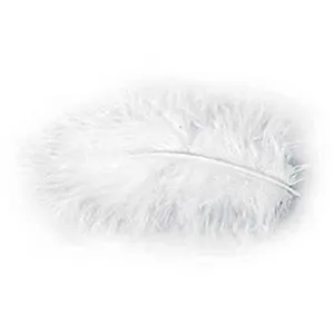 Comparateur de prix : POCHETTE PLUMES 10G 5-10CM BLANC