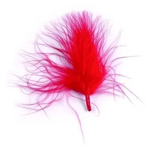 POCHETTE PLUMES 10G 5-10CM RougeVendu parrakuten
