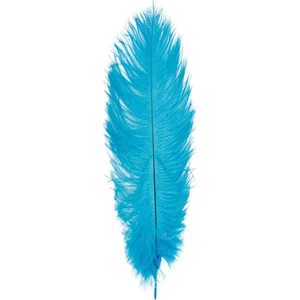 Chaks Struisvogelveer/sierveer - turquoise - 55-60 cm - decoratie/hobbymateriaal pas cher