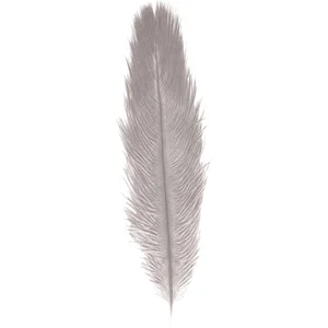 Chaks Struisvogelveer/sierveer - licht grijs - 55-60 cm - decoratie/ho... pas cher