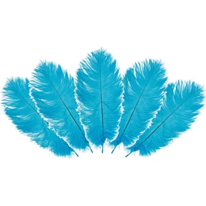 Chaks Struisvogelveren/sierveren - 5x - turquoise - 20-25 cm - decoratie/hobbymateriaal pas cher