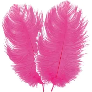 Chaks Struisvogelveren/sierveren - 2x - fuchsia - 30-35 cm - decoratie/hobbymateriaal pas cher