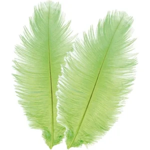Chaks Struisvogelveren/sierveren - 2x - lime groen - 30-35 cm - decora... pas cher