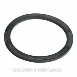 Joint écrou adoucisseur (304236-43233) (166879) Lave-vaisselle 3042363662894332642 Bosch siemens, neff, balay, constructa, gag pas cher