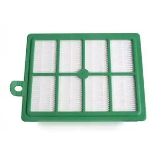 Filtre changeable F1 pour aspirateur Electrolux pas cher