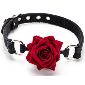 Baillon Boule avec Rose Bud Gag Noir  