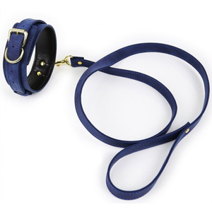 Collier et Laisse Lighty Bleu pas cher