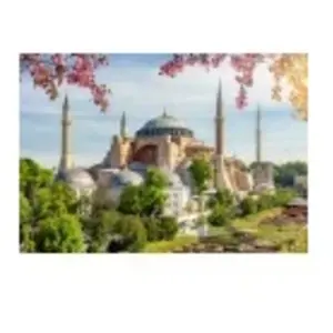 Alipson Puzzle Sainte Sophie - Istanbul Puzzle-F-50246 pas cher