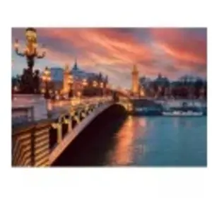 Alipson Puzzle Pont Alexandre III, Paris Puzzle-F-50013 pas cher