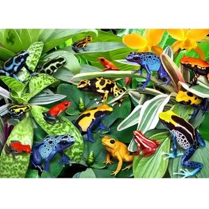 Alipson Puzzle Fun Frogs Puzzle-F-50168 pas cher