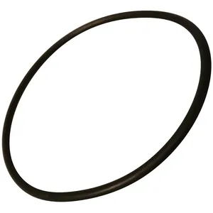 Thomson Joint de pompe Lave-vaisselle (34421194 PROLINE THOMSON URANIA VALBERG) pas cher