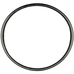 Beko Joint pompe/resistance d'origine Lave-vaisselle (551500201 BEKO G... pas cher