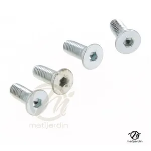 MATIJARDIN Jeu de 4 vis 5x12 pour tête débroussailleuse 2 fils alu Speed pas cher