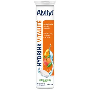 Alvityl Hydrink Vitalité, tube 20 comprimés