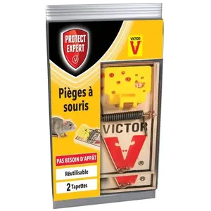 PROTECT EXPERT SOUTAP2 Pieges a Souris-2 Tapettes Bois-Rapide, Precis Et Faciles A Utiliser, IncoloreVendu parcdiscount