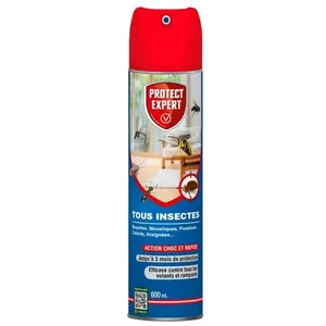 PROTECT EXPERT Aérosol Insectes Volants & Rampants - 600ml - Moustique... pas cher