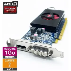 Carte graphique AMD Radeon HD 7570 1Go GDDR5 DVI DP Low Profile 113-C3340200-105 pas cher