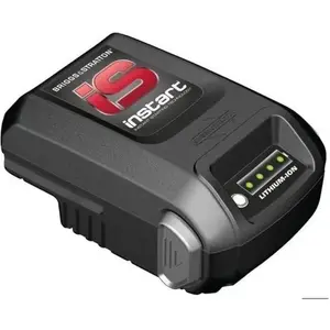 Alpina Batterie li-ion 10.8v 2.2ah 1111-9319-01 - tondeuse a gazon pas cher