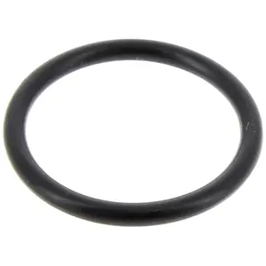 Joint étancheite or (23,81X2,62) d'origine (C00054917) Lave-vaisselle ariston hotpoint, indesit, scholtes pas cher