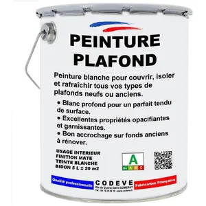 Peinture Plafond - Pot 5 L   - Codeve Bois