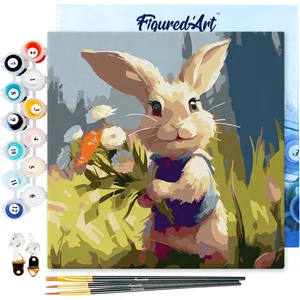 Figured'Art Mini Schilderen op Nummer Volwassenen 20x20cm met lijst Ko... pas cher