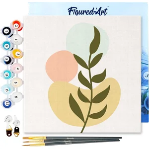 Figured'Art Mini Schilderen op Nummer Volwassenen 20x20cm met lijst Pl... pas cher