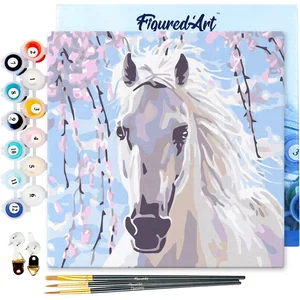 Figured'Art Mini Schilderen op Nummer Volwassenen 20x20cm met lijst Pa...
