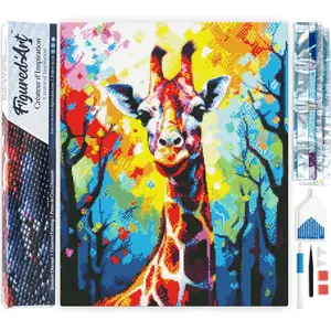 Figured'Art Diamond Painting set Volwassenen 40x50 cm Kleurrijke Abstr...