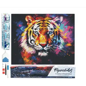 Figured'Art Diamond Painting set Volwassenen 40x50 cm Kleurrijke Abstr...