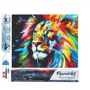 Figured'Art Diamond Painting set Volwassenen 40x50 cm Kleurrijke Abstr... pas cher