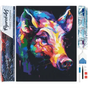 Figured'Art Diamond Painting set Volwassenen 40x50 cm Kleurrijke Abstr...