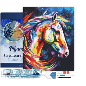 Figured'Art Diamond Painting set Volwassenen 40x50 cm met lijst Kleurr...