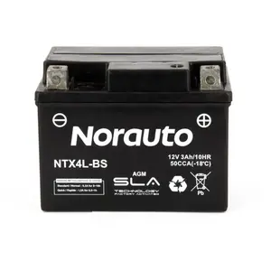 Batterie moto norauto yb4l-b pas cher