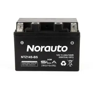 Batterie moto norauto ytz14s pas cher