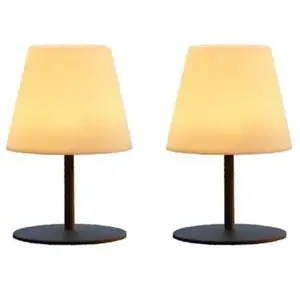 Comparateur de prix : Lumisky - Set de 2 lampes de table sans fil led twins Gris Acier H16CM