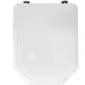 Abattant pour wc SELLES Equipage 1 (entraxe 220 mm), blanc ESPINOSA pas cher